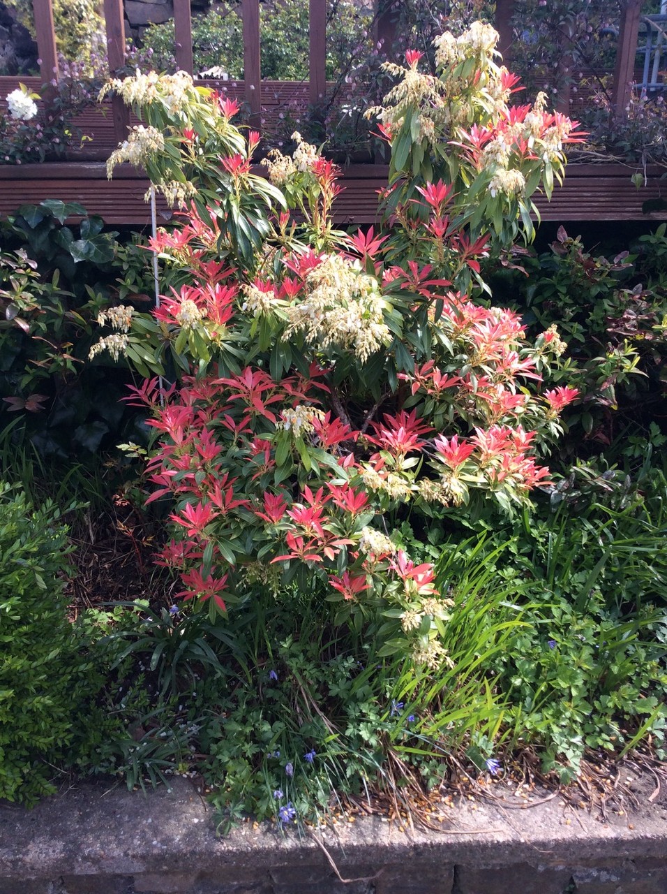 Fwd: Photography			
					</div><!-- .entry-content -->
		
		<footer>
		
		
		
					
					</footer><!-- .entry-meta -->
	</article><!-- #post -->
				
											
				
		
<hr class=