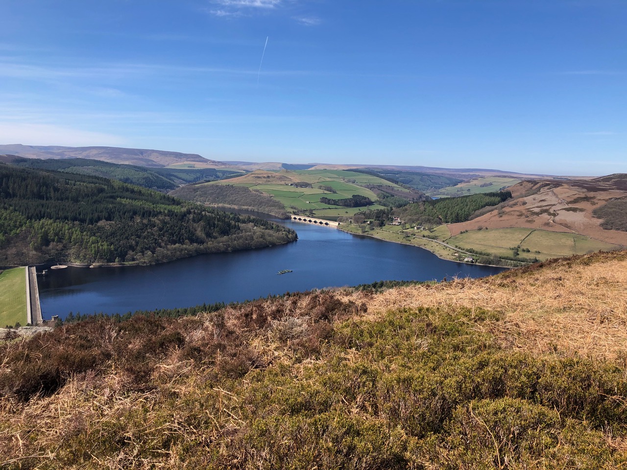 Fwd: Lady Bower by Jayne sanders			
					</div><!-- .entry-content -->
		
		<footer>
		
		
		
					
					</footer><!-- .entry-meta -->
	</article><!-- #post -->
				
											
				
		
<hr class=