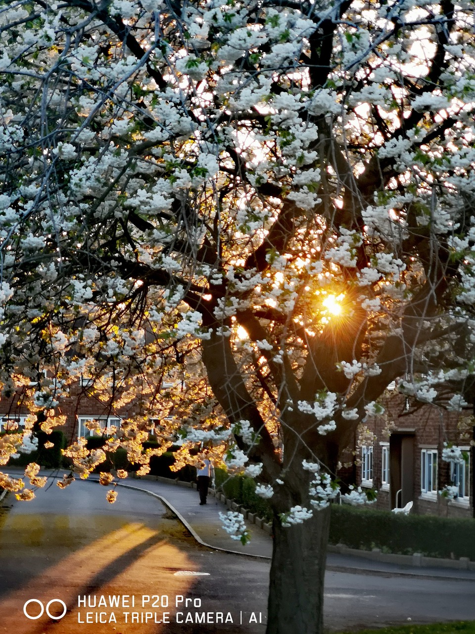 Fwd: Photo of a sunset			
					</div><!-- .entry-content -->
		
		<footer>
		
		
		
					
					</footer><!-- .entry-meta -->
	</article><!-- #post -->
				
											
				
		
<hr class=
