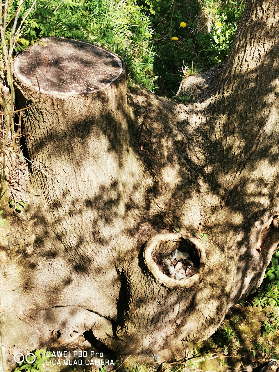 Fwd: Shadows and light			
					</div><!-- .entry-content -->
		
		<footer>
		
		
		
					
					</footer><!-- .entry-meta -->
	</article><!-- #post -->
				
											
				
		
<hr class=