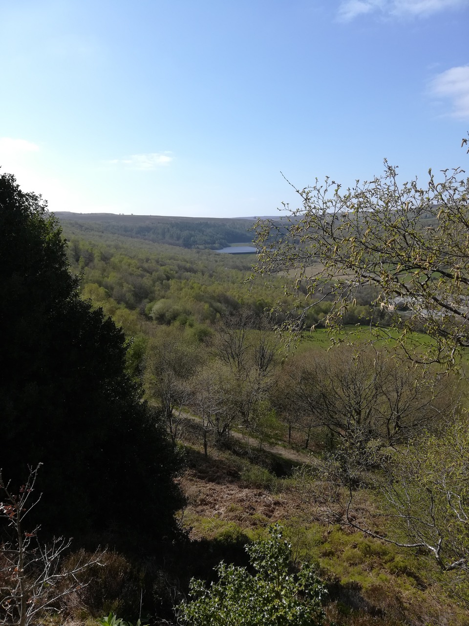 Fwd: Photo from lodge Lane looking over to Stannington and Rivelin Dams on my walk during lockdown. Also stream in Endcliffe Park.			
					</div><!-- .entry-content -->
		
		<footer>
		
		
		
					
					</footer><!-- .entry-meta -->
	</article><!-- #post -->
				
											
				
		
<hr class=