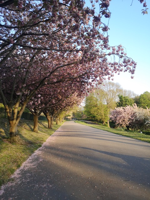 Fwd: Crookes Valley Park			
					</div><!-- .entry-content -->
		
		<footer>
		
		
		
					
					</footer><!-- .entry-meta -->
	</article><!-- #post -->
				
											
				
		
<hr class=