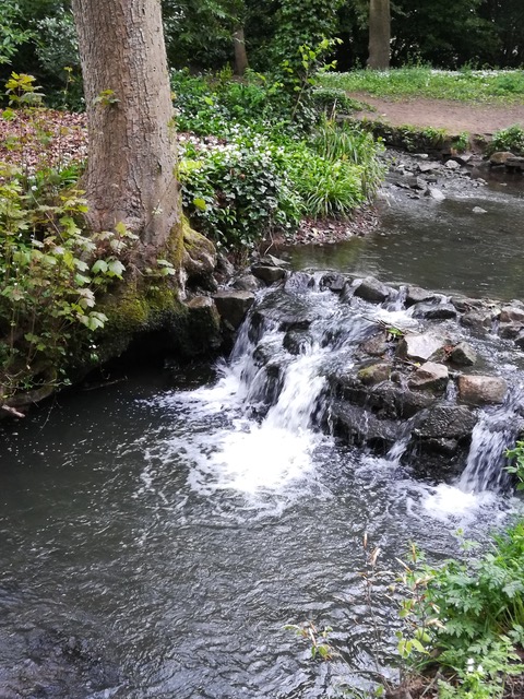 Fwd: Photo from lodge Lane looking over to Stannington and Rivelin Dams on my walk during lockdown. Also stream in Endcliffe Park.			
					</div><!-- .entry-content -->
		
		<footer>
		
		
		
					
					</footer><!-- .entry-meta -->
	</article><!-- #post -->
				
											
				
		
<hr class=