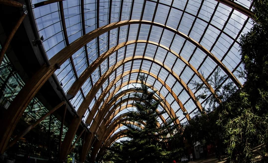 Fwd: Winter gardens			
					</div><!-- .entry-content -->
		
		<footer>
		
		
		
					
					</footer><!-- .entry-meta -->
	</article><!-- #post -->
				
											
				
		
<hr class=