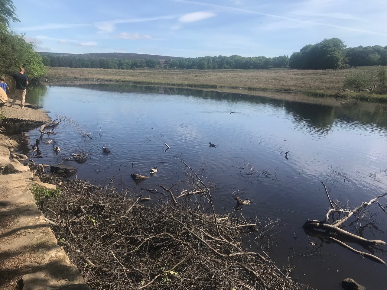 Fwd: Longshaw Estate			
					</div><!-- .entry-content -->
		
		<footer>
		
		
		
					
					</footer><!-- .entry-meta -->
	</article><!-- #post -->
				
											
				
		
<hr class=