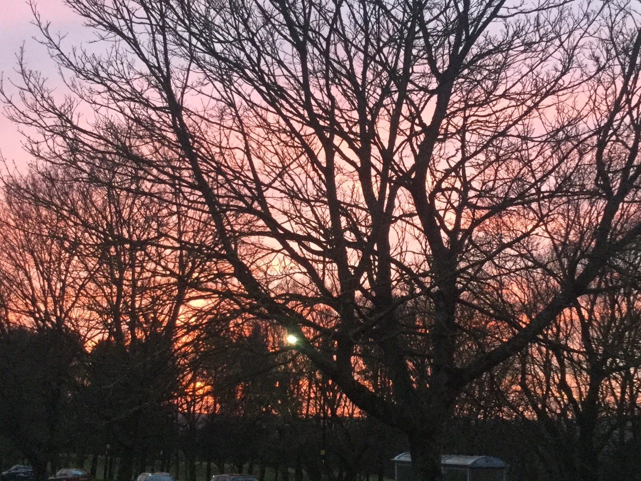 Fwd: Photos			
					</div><!-- .entry-content -->
		
		<footer>
		
		
		
					
					</footer><!-- .entry-meta -->
	</article><!-- #post -->
				
											
				
		
<hr class=