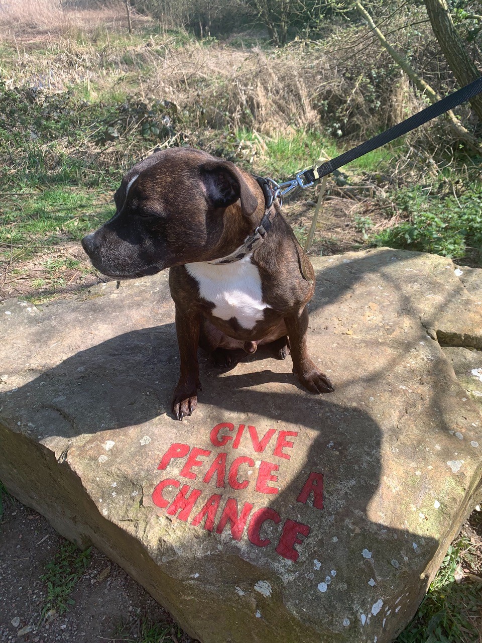 Fwd: Clyde, Beighton Marsh			
					</div><!-- .entry-content -->
		
		<footer>
		
		
		
					
					</footer><!-- .entry-meta -->
	</article><!-- #post -->
				
											
				
		
<hr class=