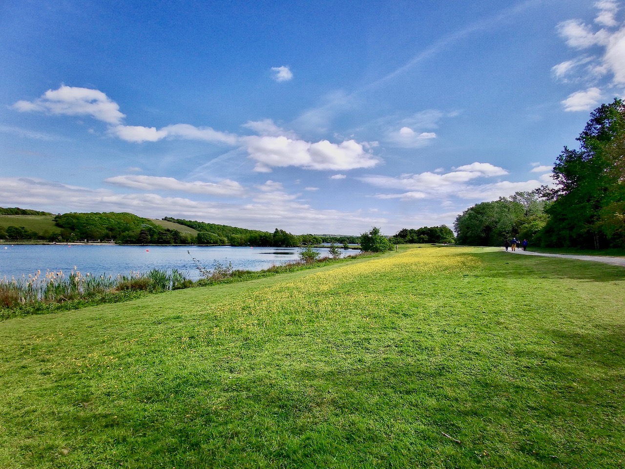 Fwd: Rother Valley Park Sheffield			
					</div><!-- .entry-content -->
		
		<footer>
		
		
		
					
					</footer><!-- .entry-meta -->
	</article><!-- #post -->
				
											
				
		
<hr class=