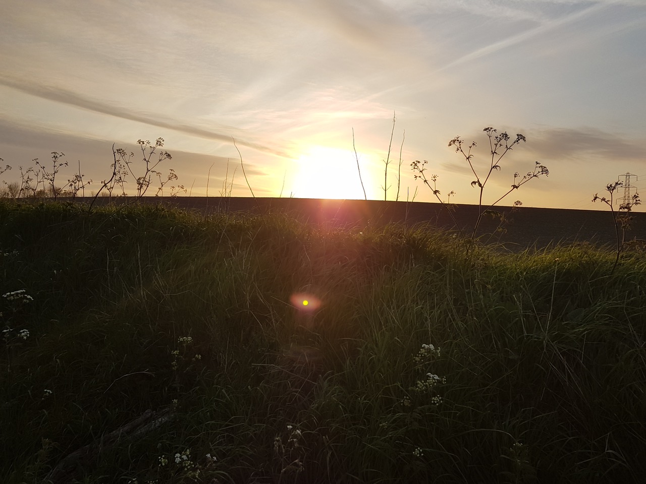 Fwd: Fox lane playing fields by R.Bartle			
					</div><!-- .entry-content -->
		
		<footer>
		
		
		
					
					</footer><!-- .entry-meta -->
	</article><!-- #post -->
				
											
				
		
<hr class=