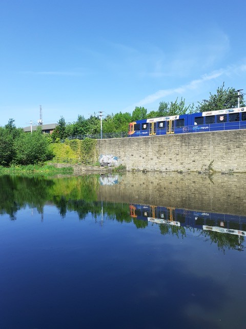 Fwd: Supertram, Attercliffe by Terry Lee			
					</div><!-- .entry-content -->
		
		<footer>
		
		
		
					
					</footer><!-- .entry-meta -->
	</article><!-- #post -->
				
											
				
		
<hr class=