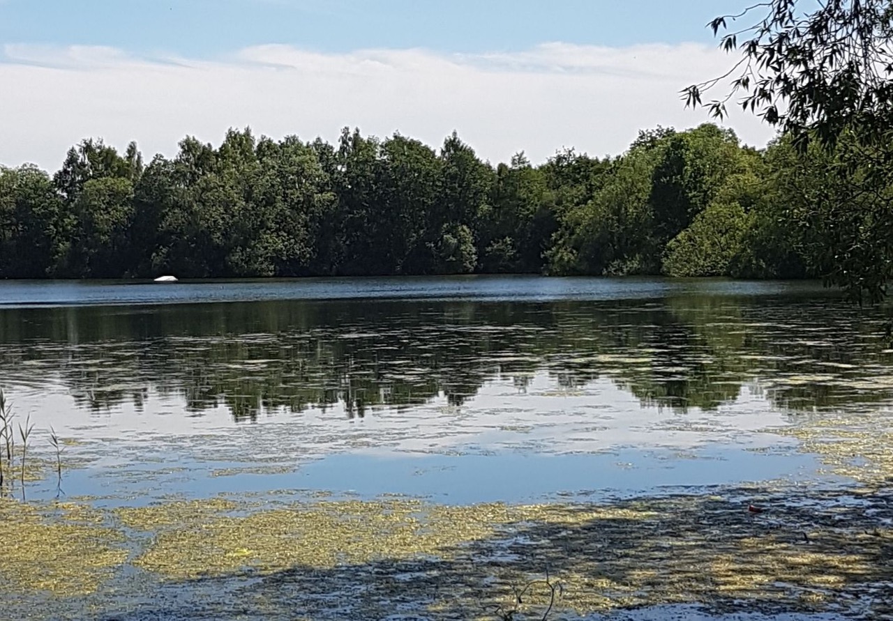 Fwd: Treeton Dyke			
					</div><!-- .entry-content -->
		
		<footer>
		
		
		
					
					</footer><!-- .entry-meta -->
	</article><!-- #post -->
				
											
				
		
<hr class=