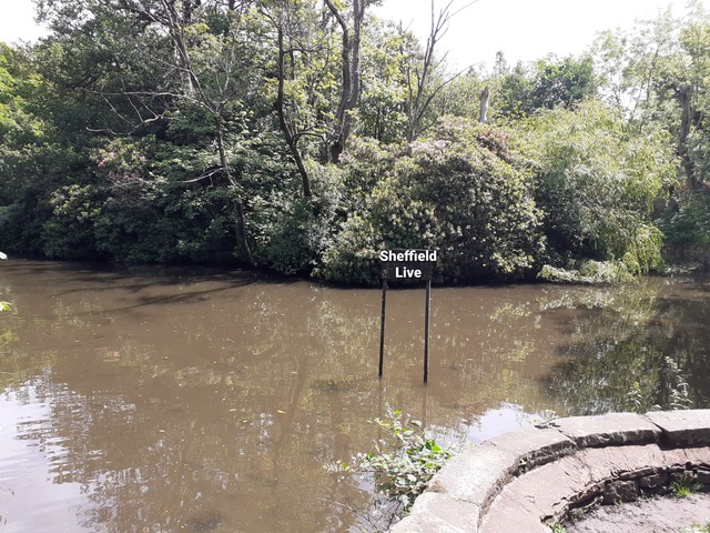 Fwd: Endcliffe Park by Johnny London			
					</div><!-- .entry-content -->
		
		<footer>
		
		
		
					
					</footer><!-- .entry-meta -->
	</article><!-- #post -->
				
											
				
		
<hr class=