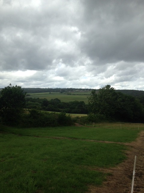 Fwd: Looking up to troway			
					</div><!-- .entry-content -->
		
		<footer>
		
		
		
					
					</footer><!-- .entry-meta -->
	</article><!-- #post -->
				
											
				
		
<hr class=