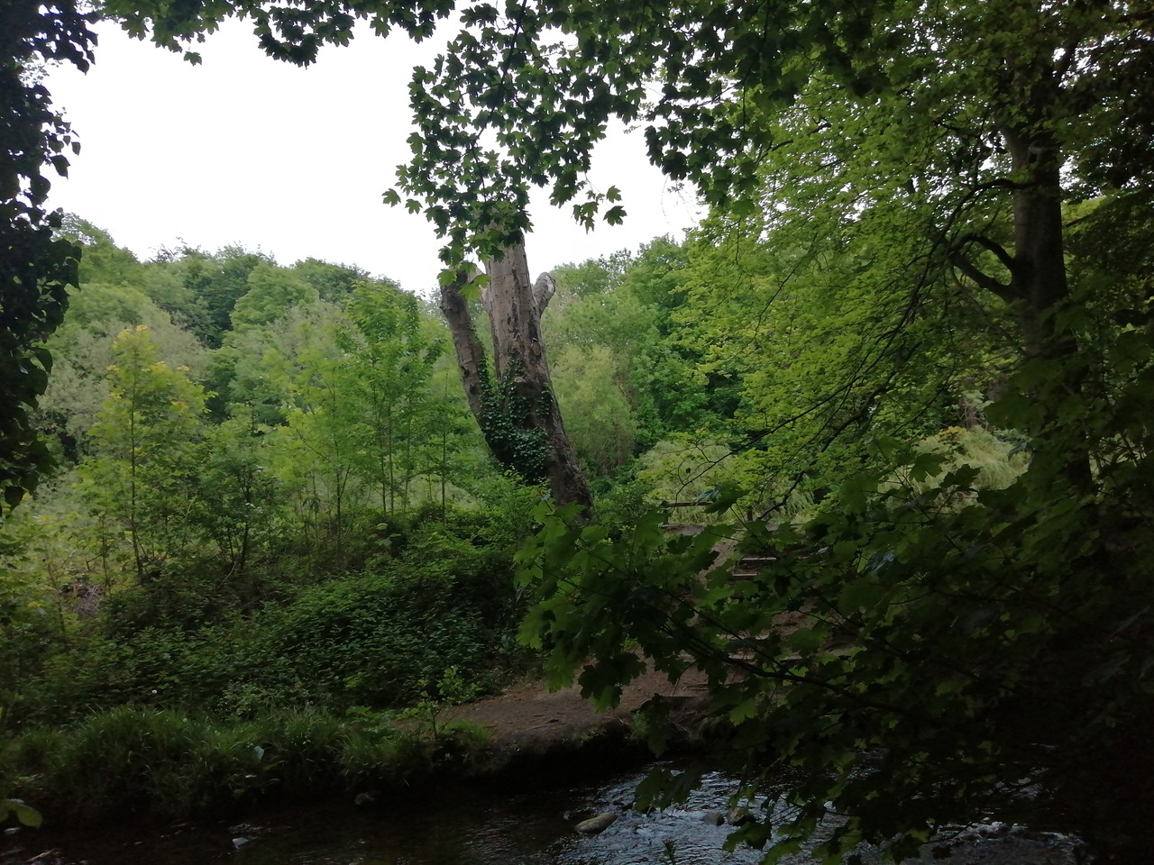 Fwd: Riverlin Valley			
					</div><!-- .entry-content -->
		
		<footer>
		
		
		
					
					</footer><!-- .entry-meta -->
	</article><!-- #post -->
				
											
				
		
<hr class=