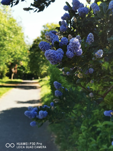 Fwd: Nice walk today between hackenthorpe and Westfield			
					</div><!-- .entry-content -->
		
		<footer>
		
		
		
					
					</footer><!-- .entry-meta -->
	</article><!-- #post -->
				
											
				
		
<hr class=