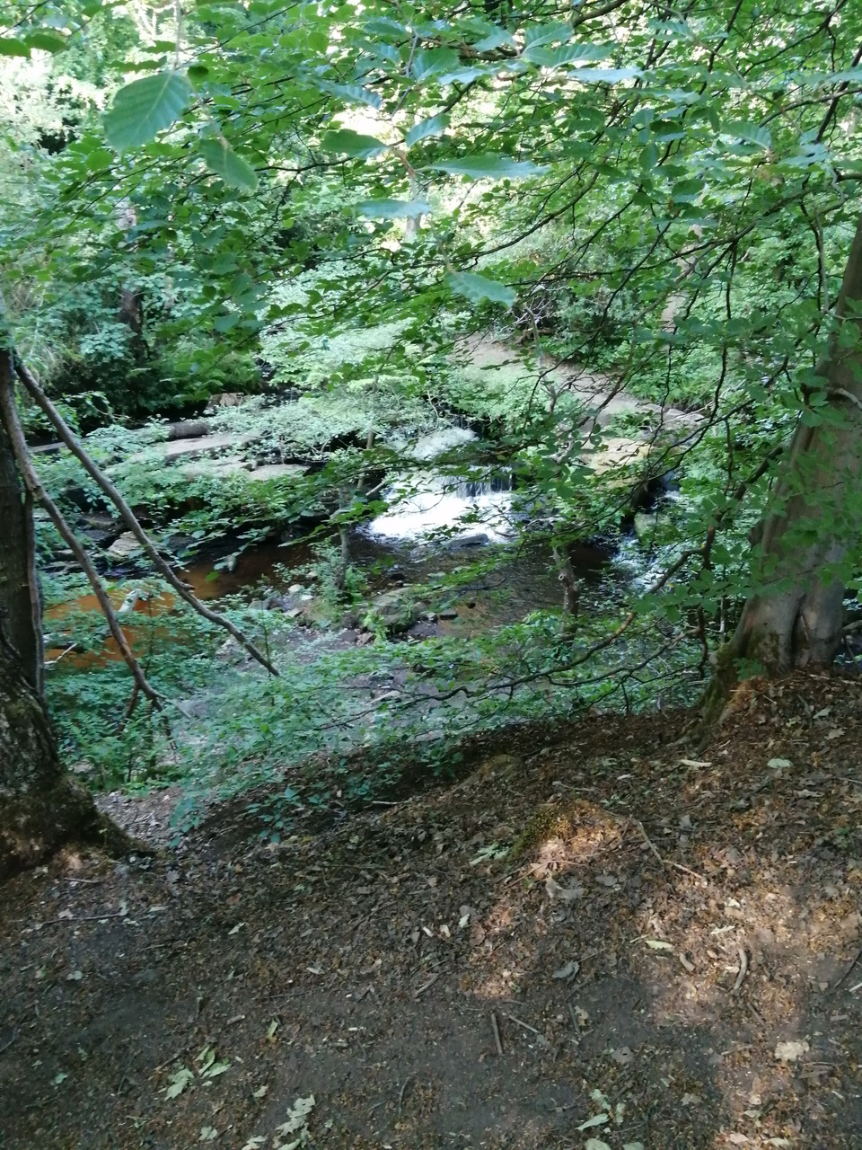 Fwd: Riverlin Valley			
					</div><!-- .entry-content -->
		
		<footer>
		
		
		
					
					</footer><!-- .entry-meta -->
	</article><!-- #post -->
				
											
				
		
<hr class=