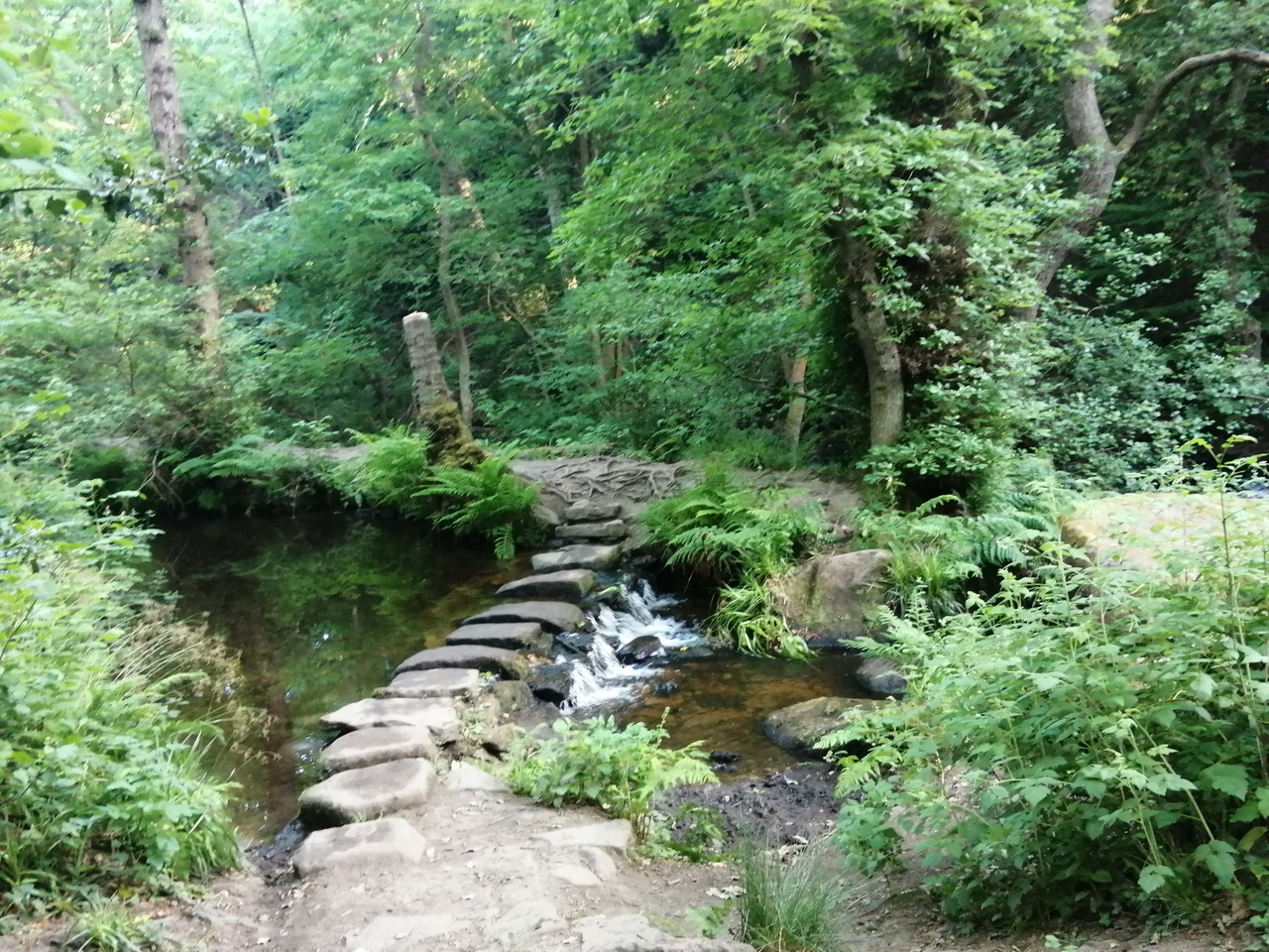 Fwd: Riverlin Valley			
					</div><!-- .entry-content -->
		
		<footer>
		
		
		
					
					</footer><!-- .entry-meta -->
	</article><!-- #post -->
				
											
				
		
<hr class=