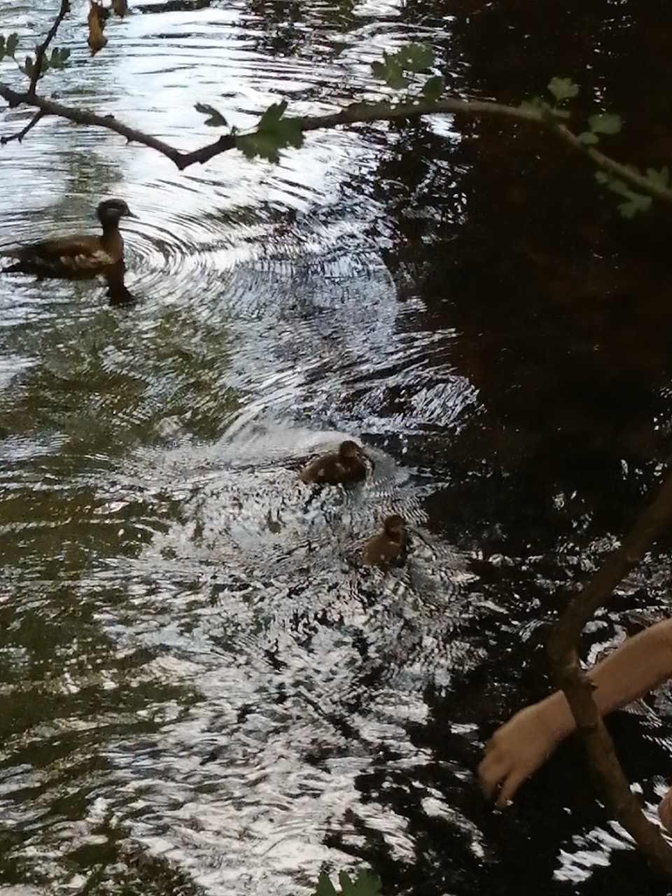 Fwd: Riverlin Valley			
					</div><!-- .entry-content -->
		
		<footer>
		
		
		
					
					</footer><!-- .entry-meta -->
	</article><!-- #post -->
				
											
				
		
<hr class=