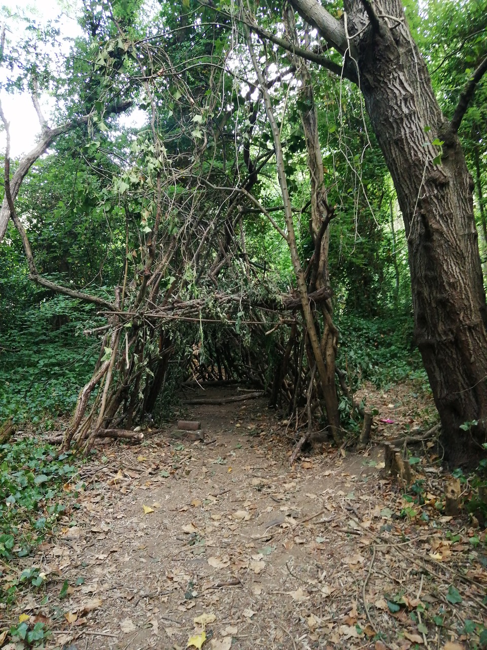 Fwd: Riverlin Valley			
					</div><!-- .entry-content -->
		
		<footer>
		
		
		
					
					</footer><!-- .entry-meta -->
	</article><!-- #post -->
				
											
				
		
<hr class=