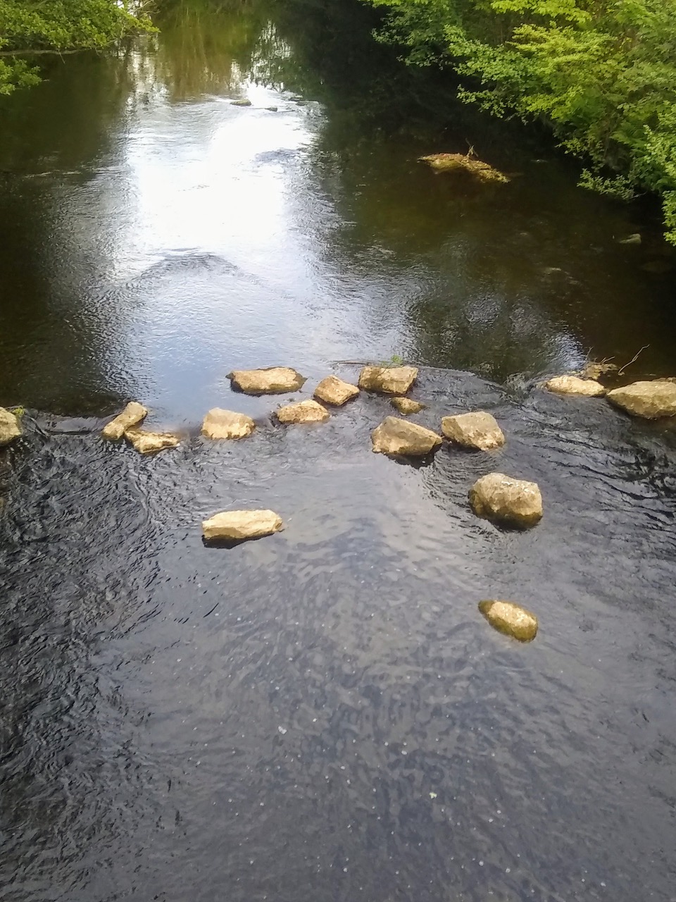 Fwd: Thornhill nr Hope from bridge			
					</div><!-- .entry-content -->
		
		<footer>
		
		
		
					
					</footer><!-- .entry-meta -->
	</article><!-- #post -->
				
											
				
		
<hr class=