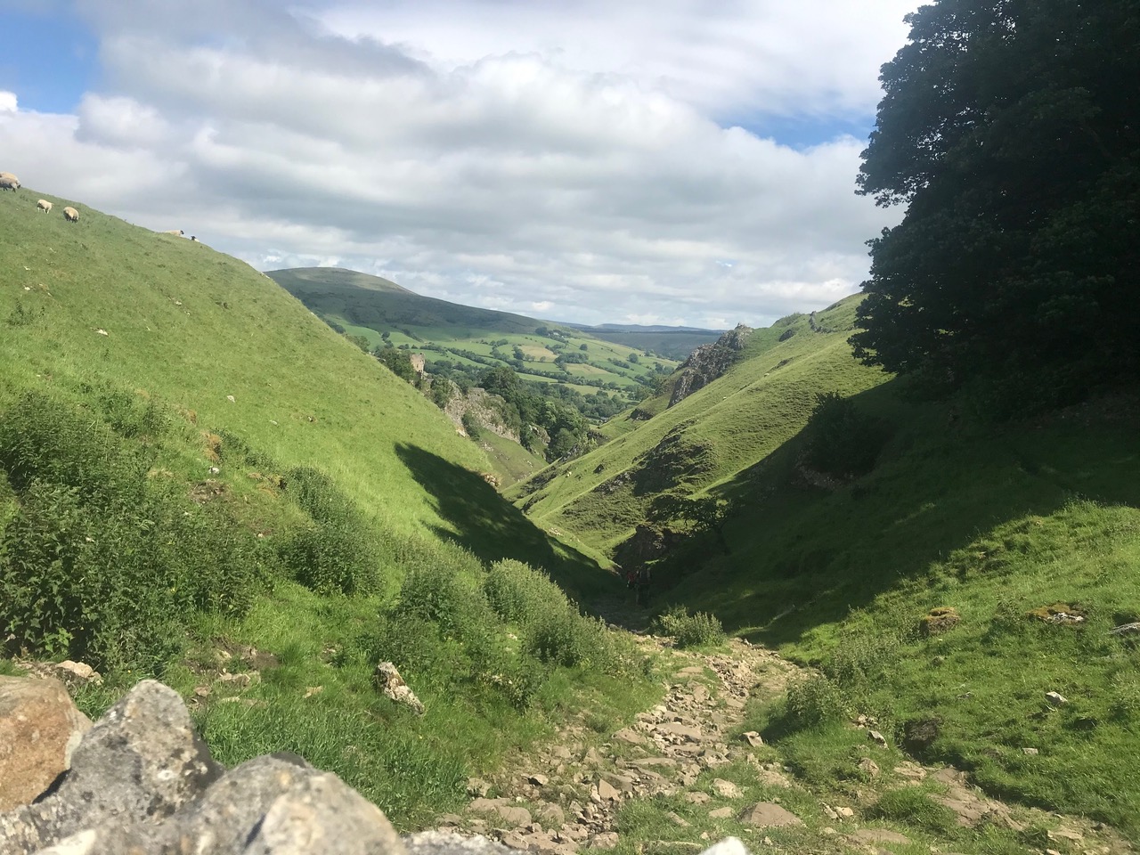 Fwd: View to Castletown			
					</div><!-- .entry-content -->
		
		<footer>
		
		
		
					
					</footer><!-- .entry-meta -->
	</article><!-- #post -->
				
											
				
		
<hr class=