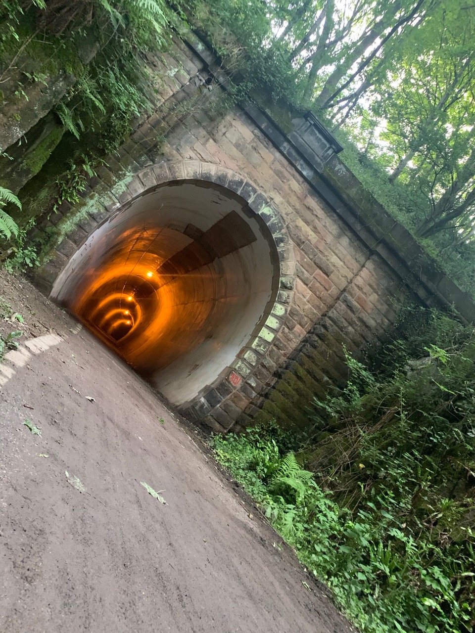 Fwd: Photos			
					</div><!-- .entry-content -->
		
		<footer>
		
		
		
					
					</footer><!-- .entry-meta -->
	</article><!-- #post -->
				
											
				
		
<hr class=