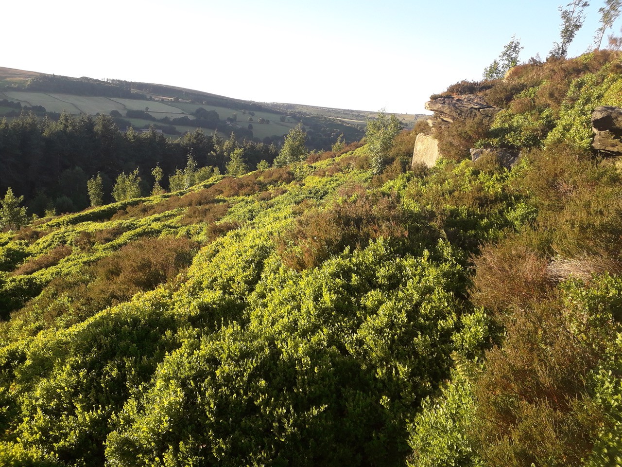 Fwd: Photos			
					</div><!-- .entry-content -->
		
		<footer>
		
		
		
					
					</footer><!-- .entry-meta -->
	</article><!-- #post -->
				
											
				
		
<hr class=