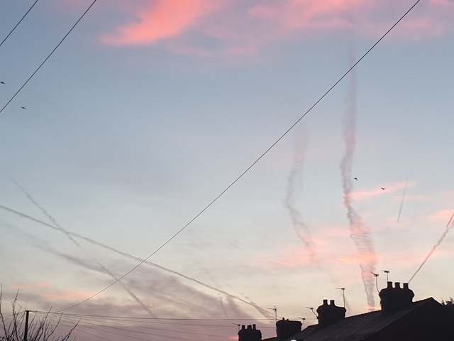 Fwd: photo			
					</div><!-- .entry-content -->
		
		<footer>
		
		
		
					
					</footer><!-- .entry-meta -->
	</article><!-- #post -->
				
											
				
		
<hr class=