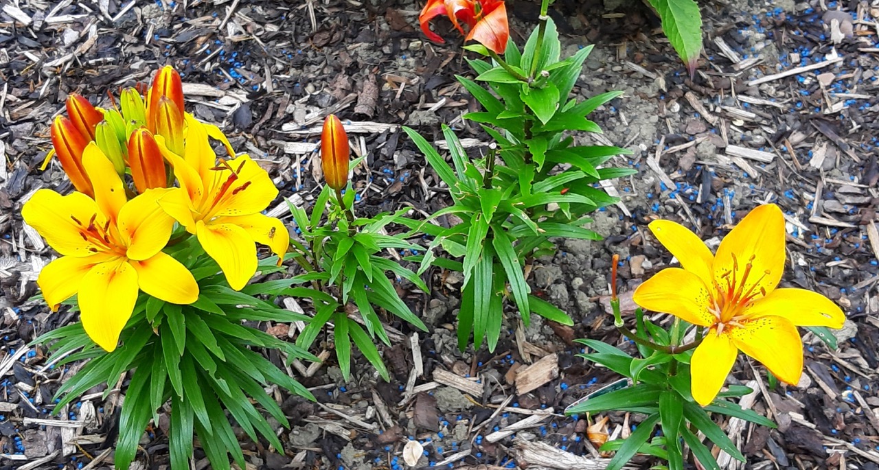 Fwd: Photograph by Keith Johnson.			
					</div><!-- .entry-content -->
		
		<footer>
		
		
		
					
					</footer><!-- .entry-meta -->
	</article><!-- #post -->
				
											
				
		
<hr class=