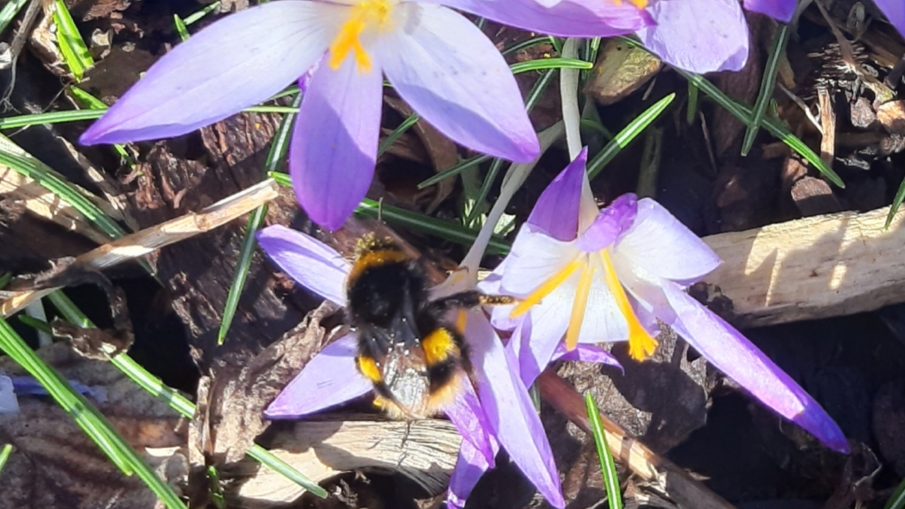 Fwd: Photograph by Keith Johnson.			
					</div><!-- .entry-content -->
		
		<footer>
		
		
		
					
					</footer><!-- .entry-meta -->
	</article><!-- #post -->
				
											
				
		
<hr class=