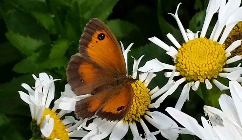 Fwd: Photograph by Keith Johnson.			
					</div><!-- .entry-content -->
		
		<footer>
		
		
		
					
					</footer><!-- .entry-meta -->
	</article><!-- #post -->
				
											
				
		
<hr class=