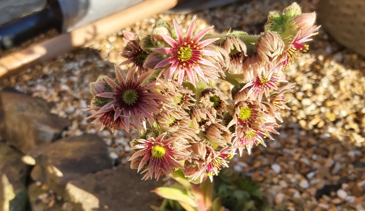 Fwd: Photograph by Keith Johnson.			
					</div><!-- .entry-content -->
		
		<footer>
		
		
		
					
					</footer><!-- .entry-meta -->
	</article><!-- #post -->
				
											
				
		
<hr class=