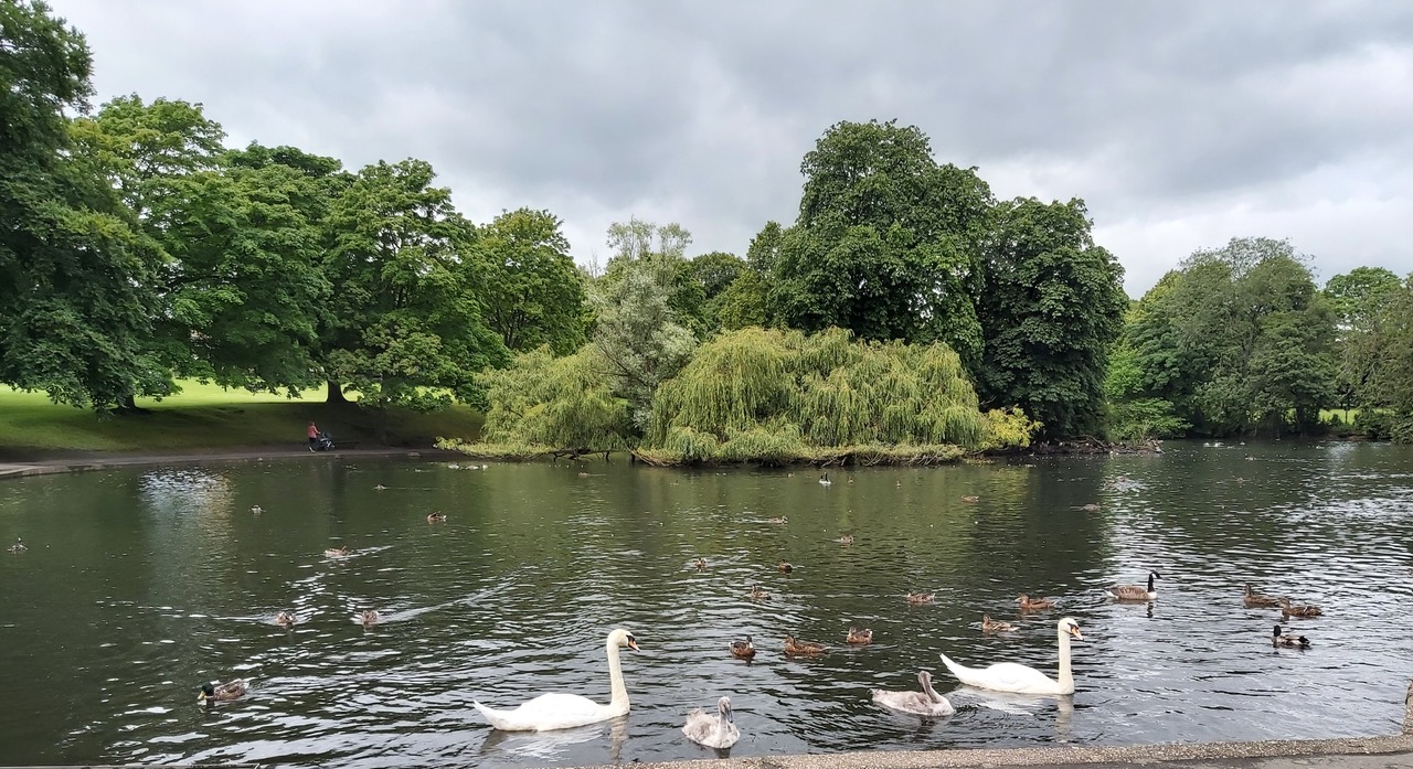 Fwd: Photograph by Keith Johnson,			
					</div><!-- .entry-content -->
		
		<footer>
		
		
		
					
					</footer><!-- .entry-meta -->
	</article><!-- #post -->
				
											
				
		
<hr class=