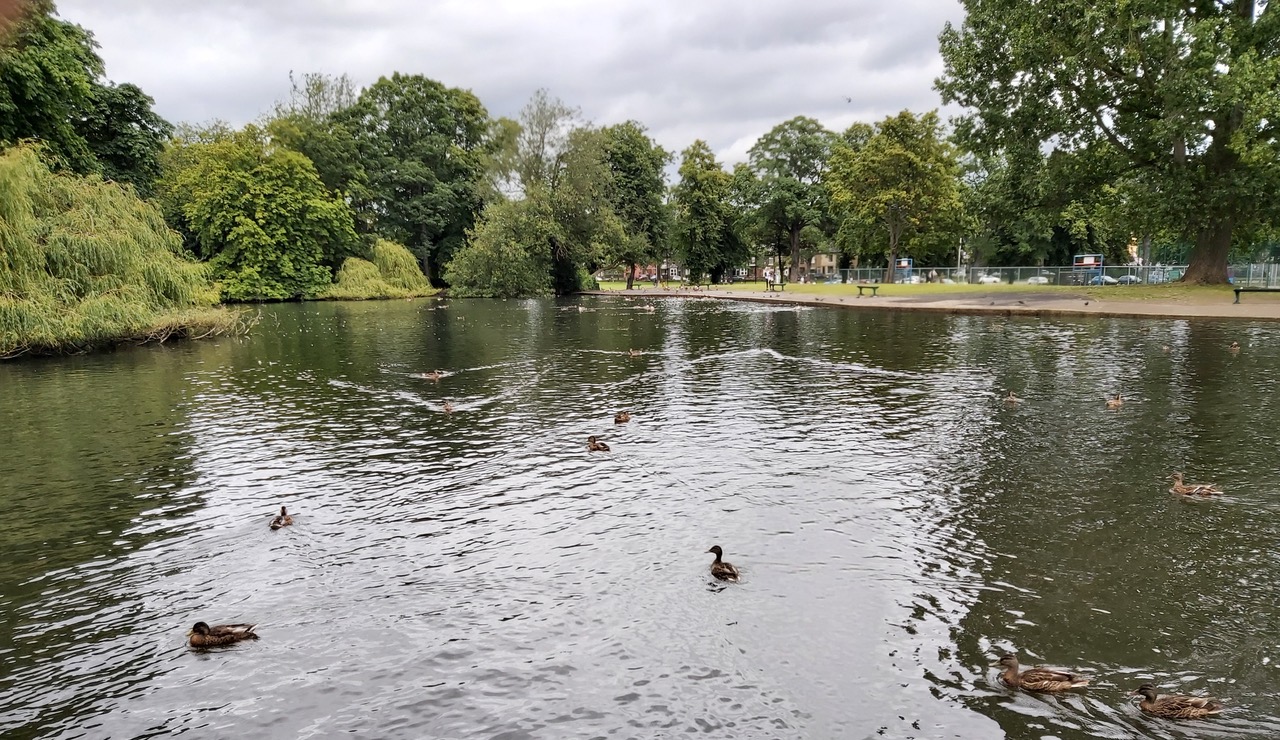 Fwd: Photograph by Keith Johnson			
					</div><!-- .entry-content -->
		
		<footer>
		
		
		
					
					</footer><!-- .entry-meta -->
	</article><!-- #post -->
				
											
				
		
<hr class=