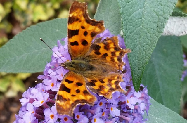 Fwd: Photograph by, Keith Johnson			
					</div><!-- .entry-content -->
		
		<footer>
		
		
		
					
					</footer><!-- .entry-meta -->
	</article><!-- #post -->
				
											
				
		
<hr class=