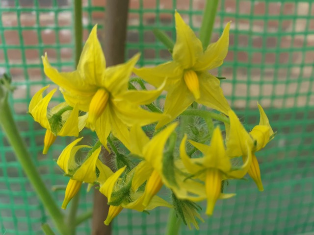 Fwd: From Lee Rhodes			
					</div><!-- .entry-content -->
		
		<footer>
		
		
		
					
					</footer><!-- .entry-meta -->
	</article><!-- #post -->
				
											
				
		
<hr class=