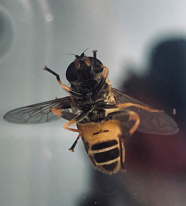 Fwd: ecclesfield, by clara			
					</div><!-- .entry-content -->
		
		<footer>
		
		
		
					
					</footer><!-- .entry-meta -->
	</article><!-- #post -->
				
											
				
		
<hr class=