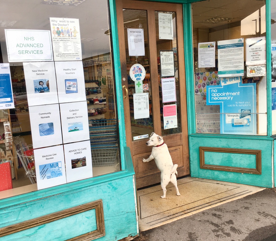 Fwd: Photo for tv			
					</div><!-- .entry-content -->
		
		<footer>
		
		
		
					
					</footer><!-- .entry-meta -->
	</article><!-- #post -->
				
											
				
		
<hr class=