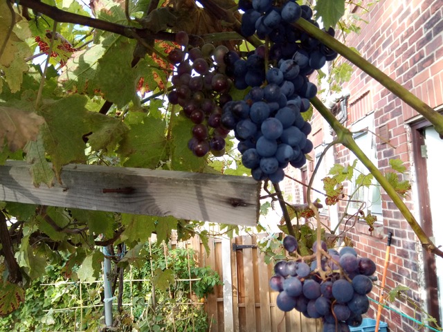 Fwd:			
					</div><!-- .entry-content -->
		
		<footer>
		
		
		
					
					</footer><!-- .entry-meta -->
	</article><!-- #post -->
				
											
				
		
<hr class=