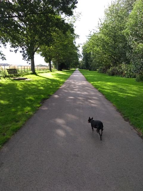 Fwd: Wentworth			
					</div><!-- .entry-content -->
		
		<footer>
		
		
		
					
					</footer><!-- .entry-meta -->
	</article><!-- #post -->
				
											
				
		
<hr class=