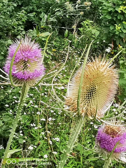 Fwd: Photo for Sheffield live			
					</div><!-- .entry-content -->
		
		<footer>
		
		
		
					
					</footer><!-- .entry-meta -->
	</article><!-- #post -->
				
											
				
		
<hr class=