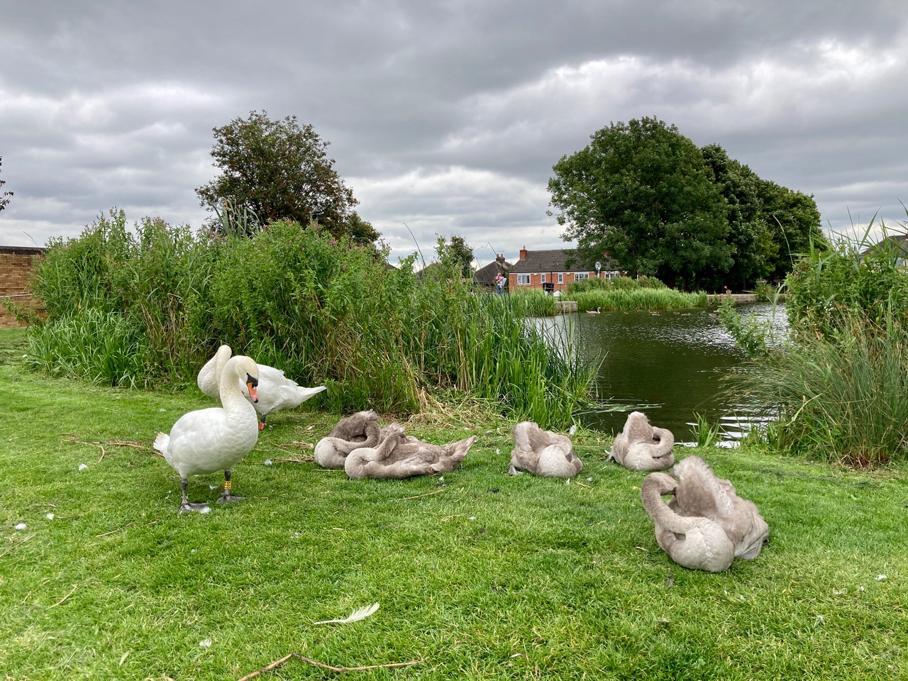 Fwd: Photo submission for TV			
					</div><!-- .entry-content -->
		
		<footer>
		
		
		
					
					</footer><!-- .entry-meta -->
	</article><!-- #post -->
				
											
				
		
<hr class=