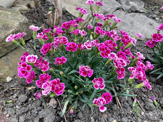 Fwd: Photo submission for TV			
					</div><!-- .entry-content -->
		
		<footer>
		
		
		
					
					</footer><!-- .entry-meta -->
	</article><!-- #post -->
				
											
				
		
<hr class=