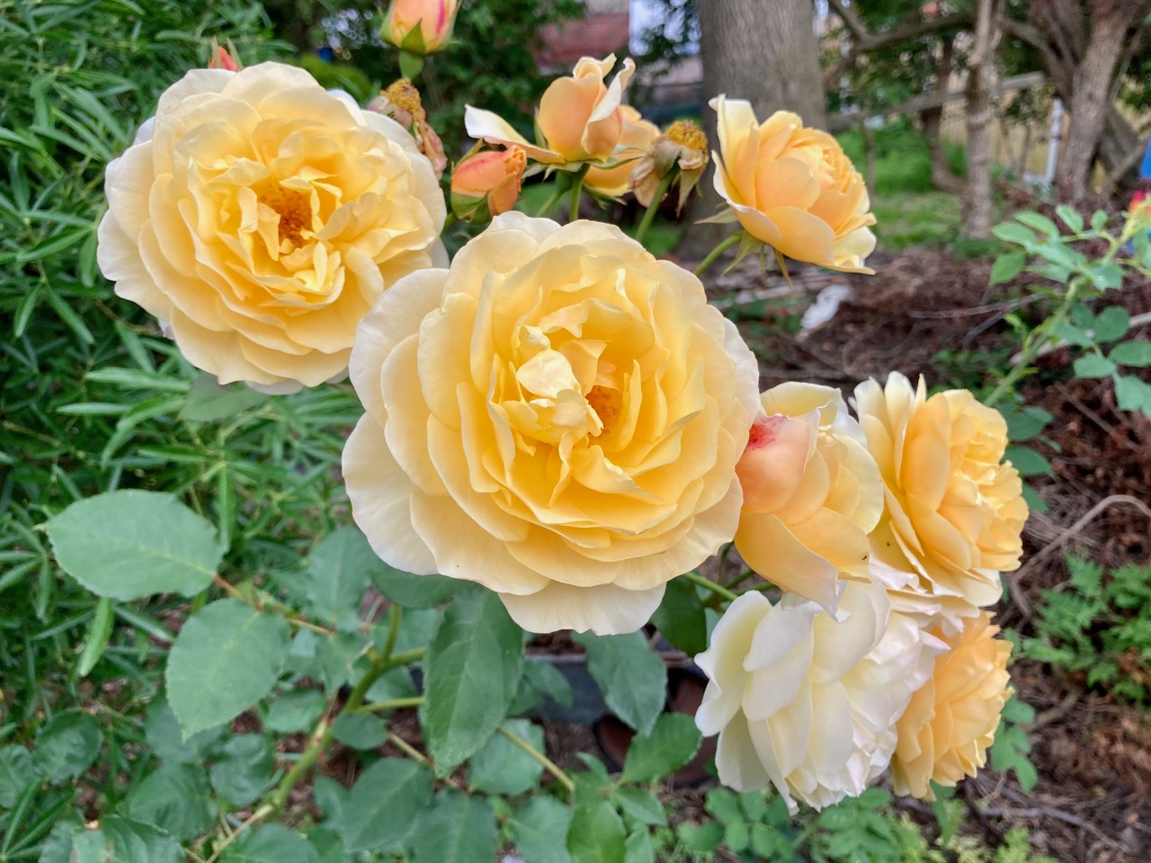 Fwd: Photo submission for TV			
					</div><!-- .entry-content -->
		
		<footer>
		
		
		
					
					</footer><!-- .entry-meta -->
	</article><!-- #post -->
				
											
				
		
<hr class=