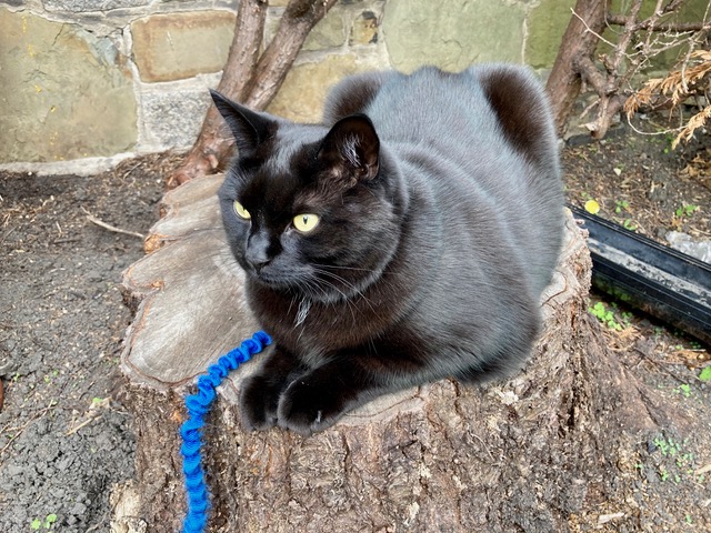 Fwd: Photo submission for TV			
					</div><!-- .entry-content -->
		
		<footer>
		
		
		
					
					</footer><!-- .entry-meta -->
	</article><!-- #post -->
				
											
				
		
<hr class=