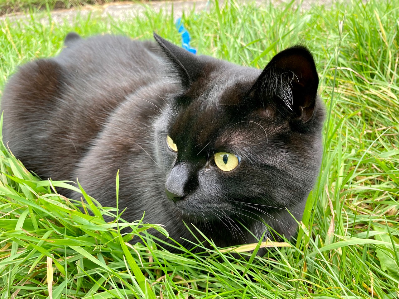 Fwd: Photo submission			
					</div><!-- .entry-content -->
		
		<footer>
		
		
		
					
					</footer><!-- .entry-meta -->
	</article><!-- #post -->
				
											
				
		
<hr class=