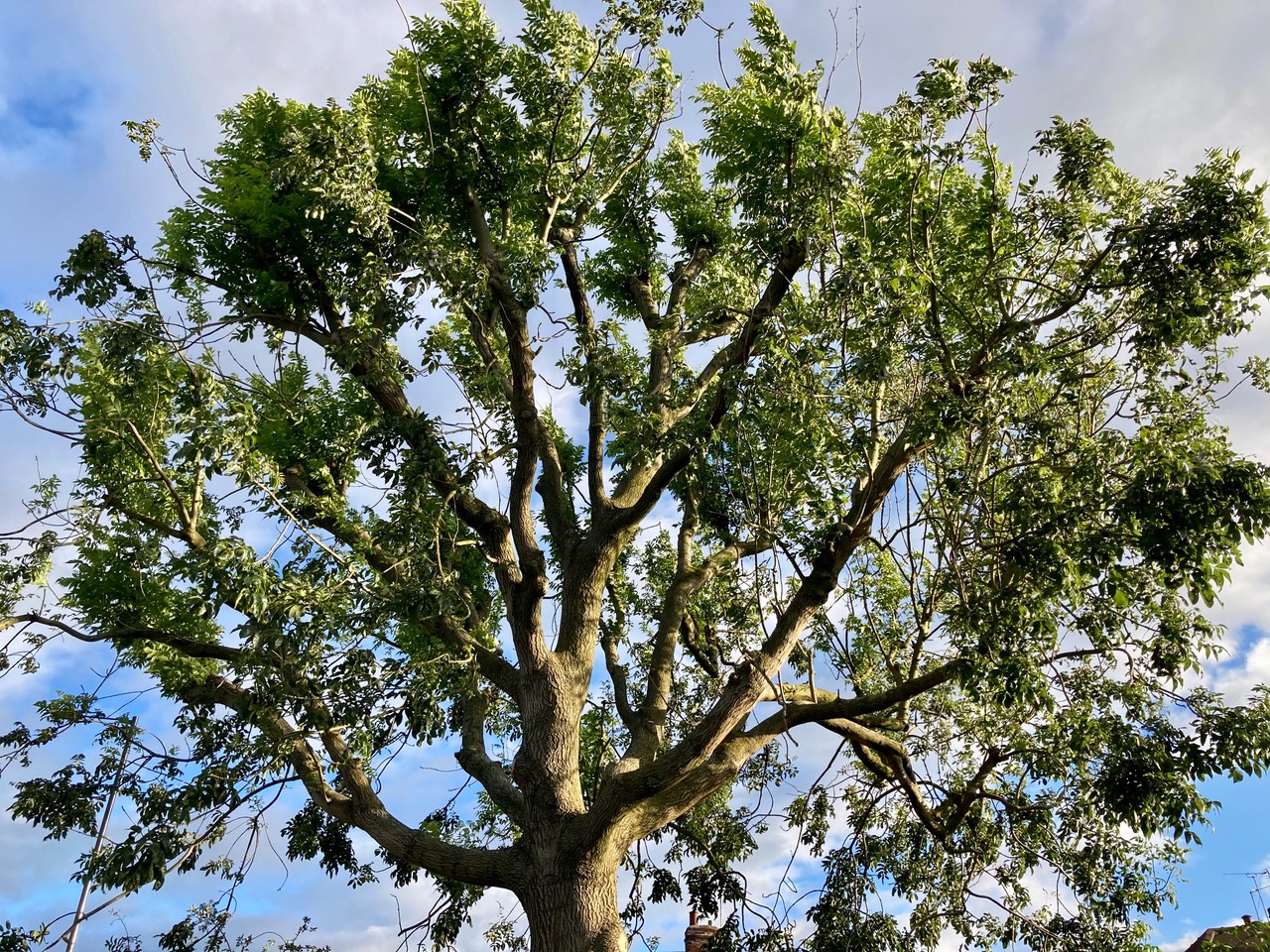 Fwd: Photo submission for TV			
					</div><!-- .entry-content -->
		
		<footer>
		
		
		
					
					</footer><!-- .entry-meta -->
	</article><!-- #post -->
				
											
				
		
<hr class=