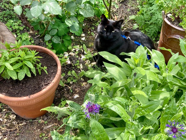 Fwd: Photo submission for TV			
					</div><!-- .entry-content -->
		
		<footer>
		
		
		
					
					</footer><!-- .entry-meta -->
	</article><!-- #post -->
				
											
				
		
<hr class=