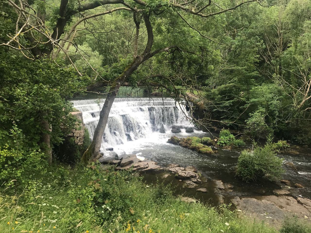 Fwd: River Wye			
					</div><!-- .entry-content -->
		
		<footer>
		
		
		
					
					</footer><!-- .entry-meta -->
	</article><!-- #post -->
				
											
				
		
<hr class=