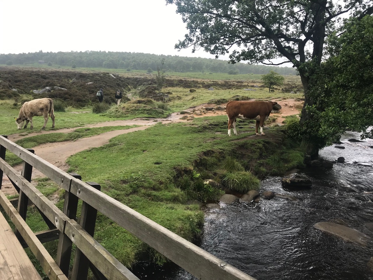 Fwd: Derbyshire			
					</div><!-- .entry-content -->
		
		<footer>
		
		
		
					
					</footer><!-- .entry-meta -->
	</article><!-- #post -->
				
											
				
		
<hr class=